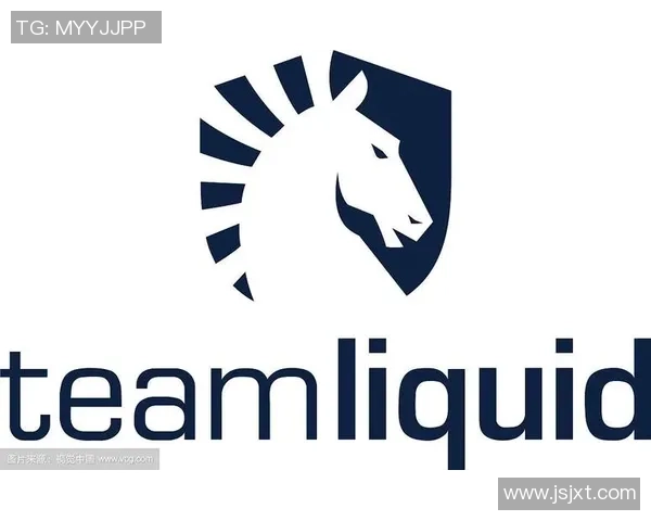 TeamLiquid战队勇夺冠军背后的故事与团队精神解析